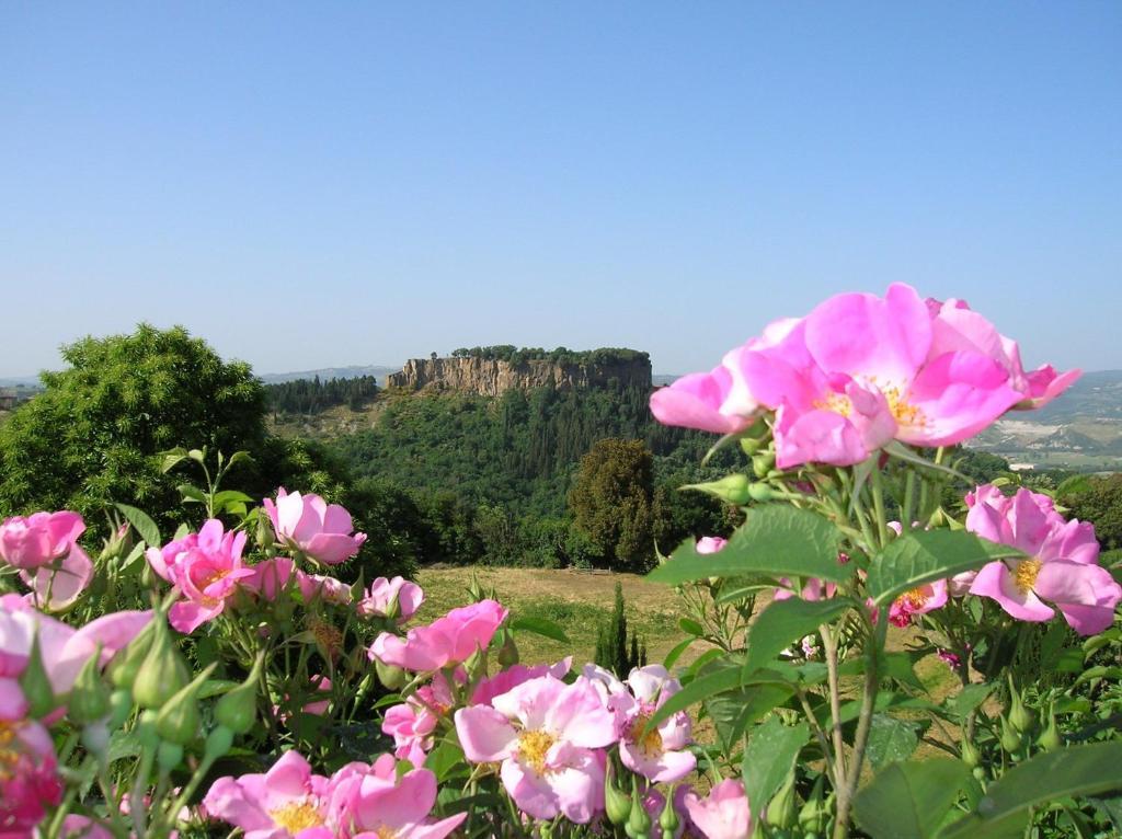 La Chiusetta Villa Orvieto Exterior photo